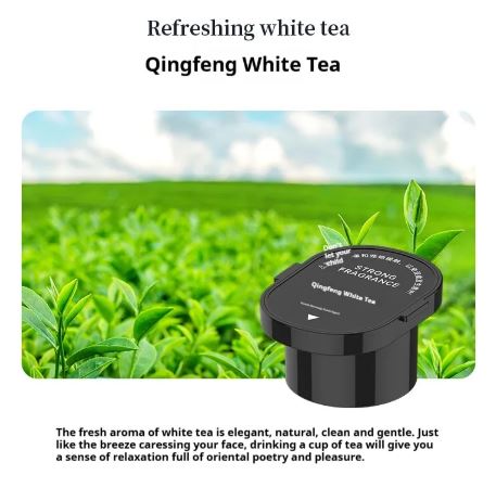 Car Fragrance Diffuser