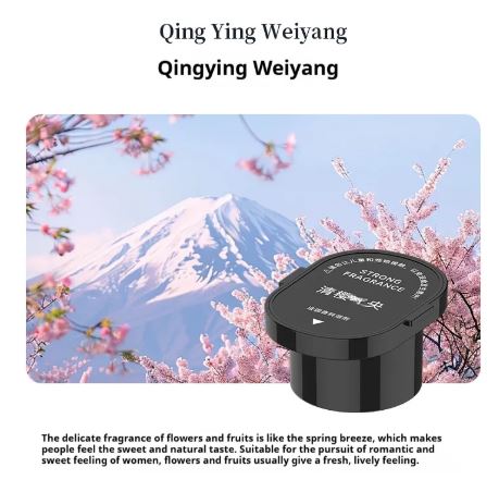 Car Fragrance Diffuser