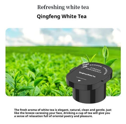 Car Fragrance Diffuser