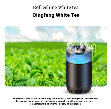 Car Fragrance Diffuser