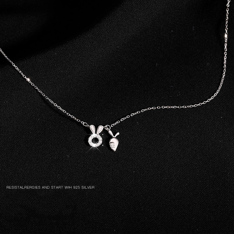 Sterling Silver Necklace for Women, Clavicle Chain