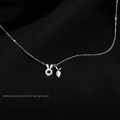 Sterling Silver Necklace for Women, Clavicle Chain