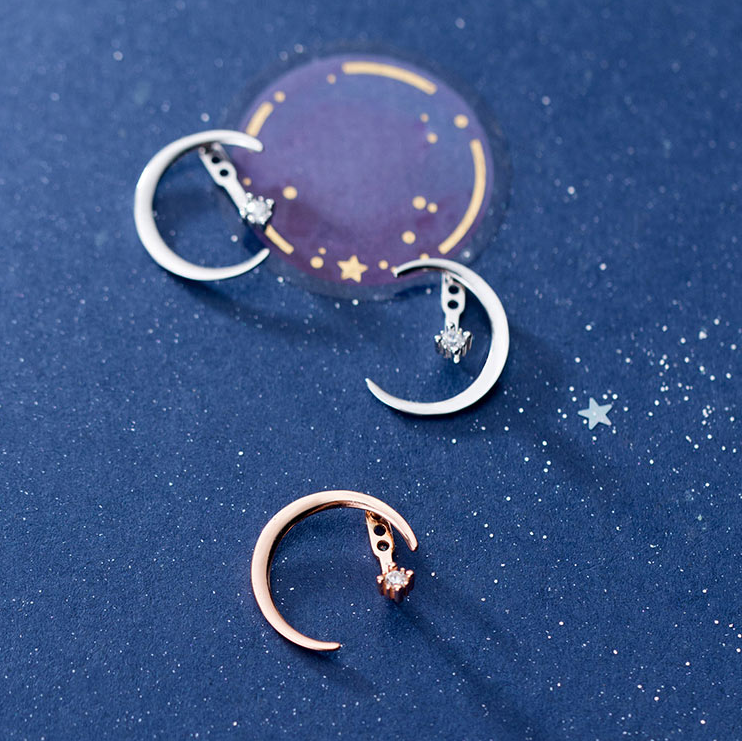 S925 Silver Earrings with Crescent Moon and Star Design