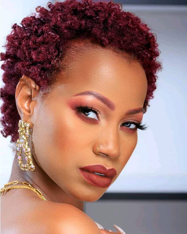 Sirukou Hair Short Curly Afro Wigs Short Kinky Curly Hair Synthetic Wigs For Black Women Natural Short Hair Wig Short Kinky Curly Afro Wigs For Women Heat Resistant Wigs (D-1116B)