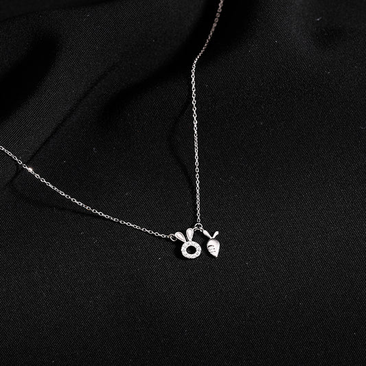 Sterling Silver Necklace for Women, Clavicle Chain