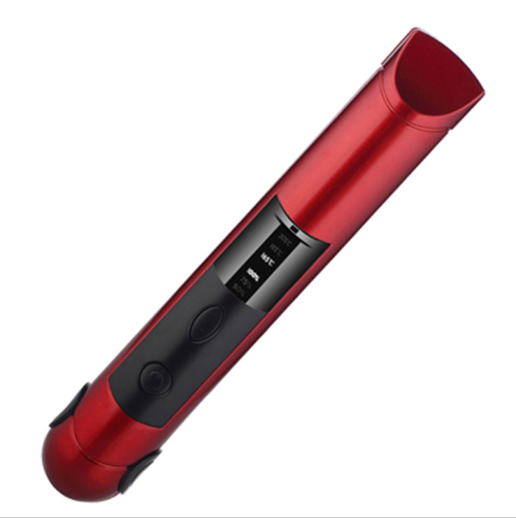 "Charging Hair Straightener and Curling Iron"